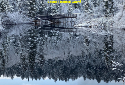 présentoirs remplis de nouveaux livres