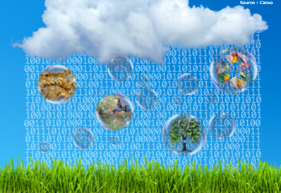 Langage binaire sur fond de ciel bleu avec nuage et gazon