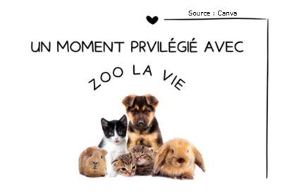 différents animaux de compagnie