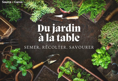 semis et outils de jardinage 