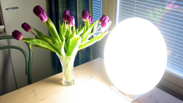 lampe
